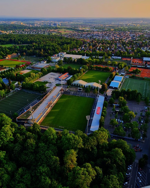 平衡競技成 平衡競技成