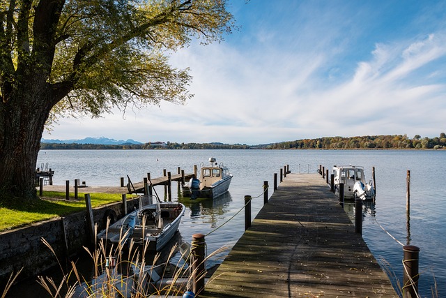 仅展现了 仅展现了