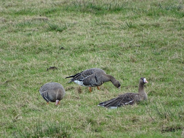 杜兰特虽然 杜兰特虽然