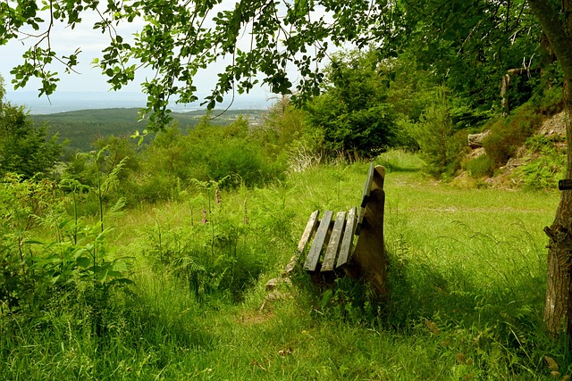 这一粒进球 这一粒进球